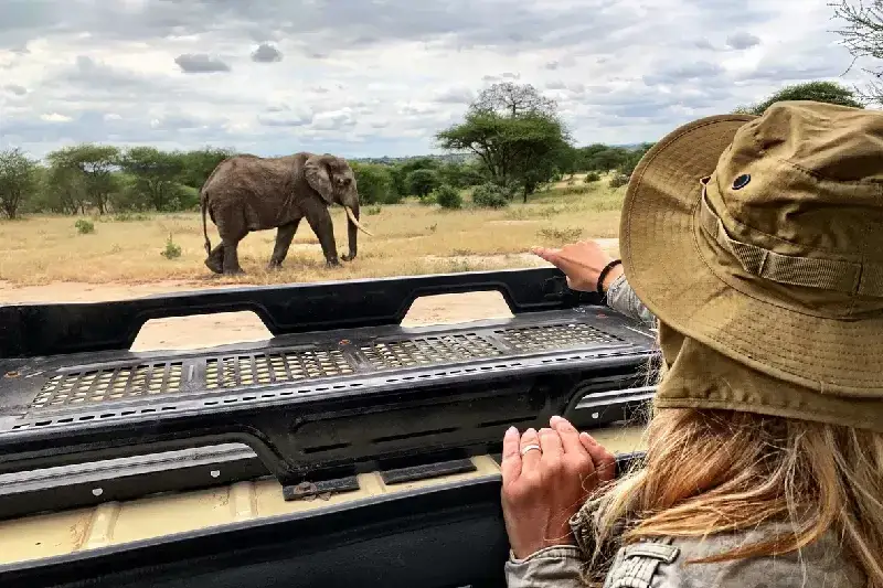 Tanzania Safari Package: Into the Ngorongoro Crater & Beyond